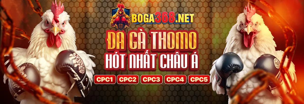Nền tảng DEBET an toàn và bảo mật