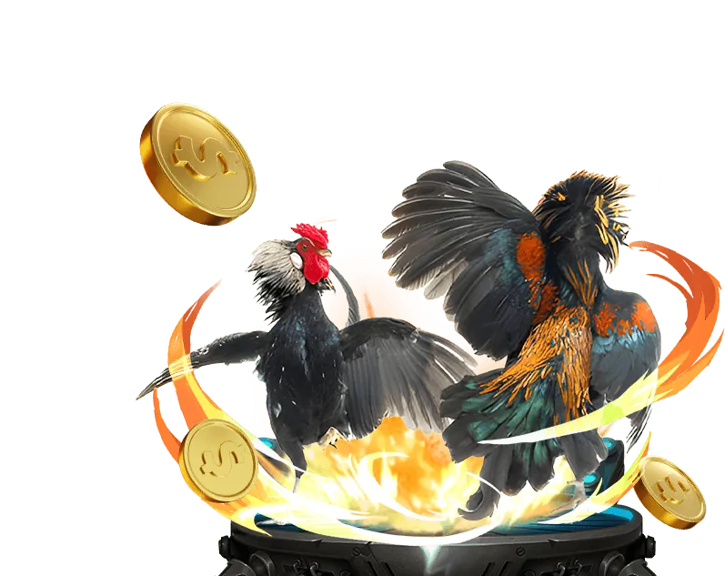 Các phương thức thanh toán tại Debet